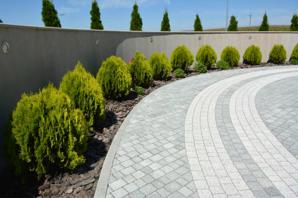 Best Best Driveway Pavers  in Wilmington Manor, DE